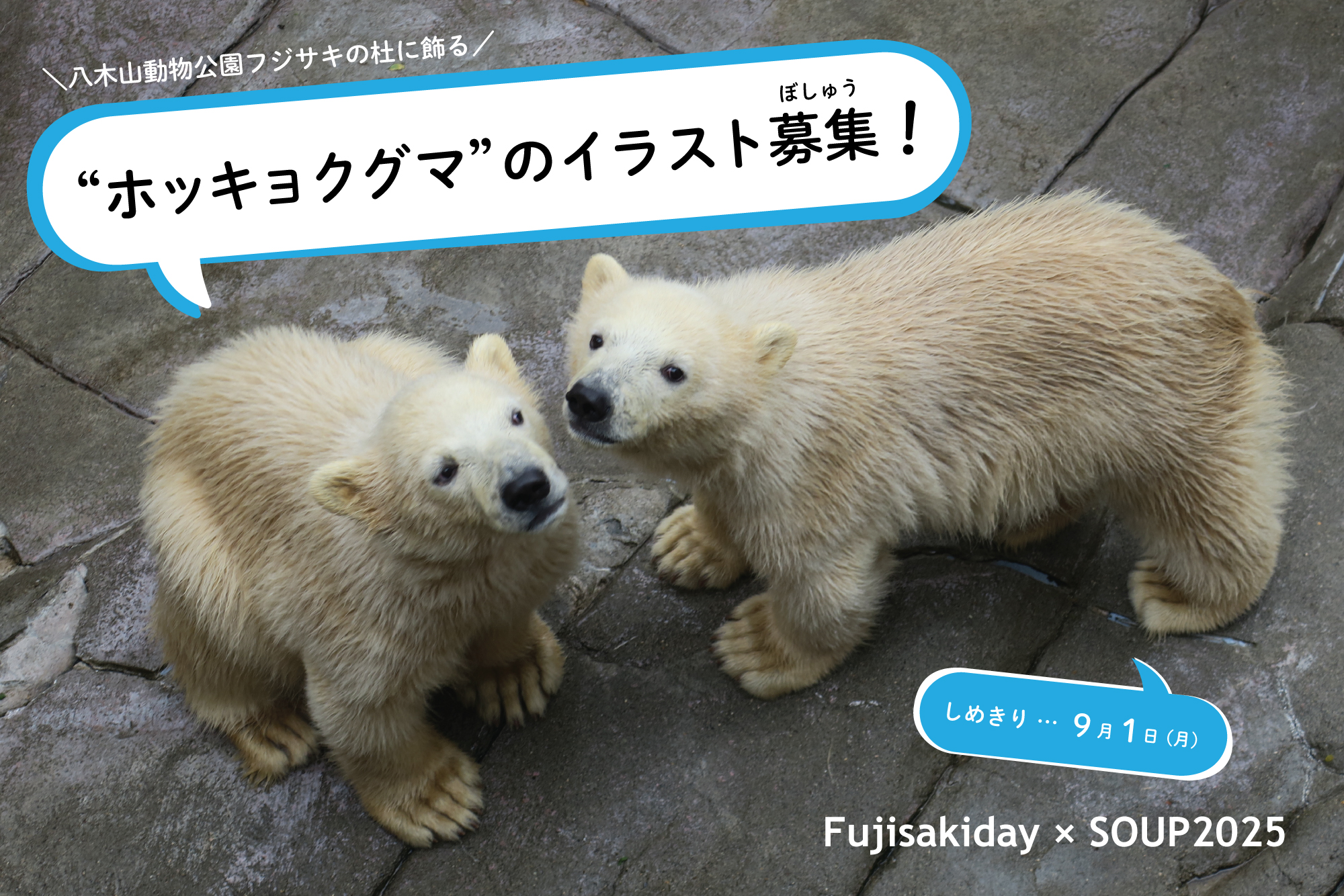 公募】ホッキョクグマのイラスト募集！（申込は締め切りました