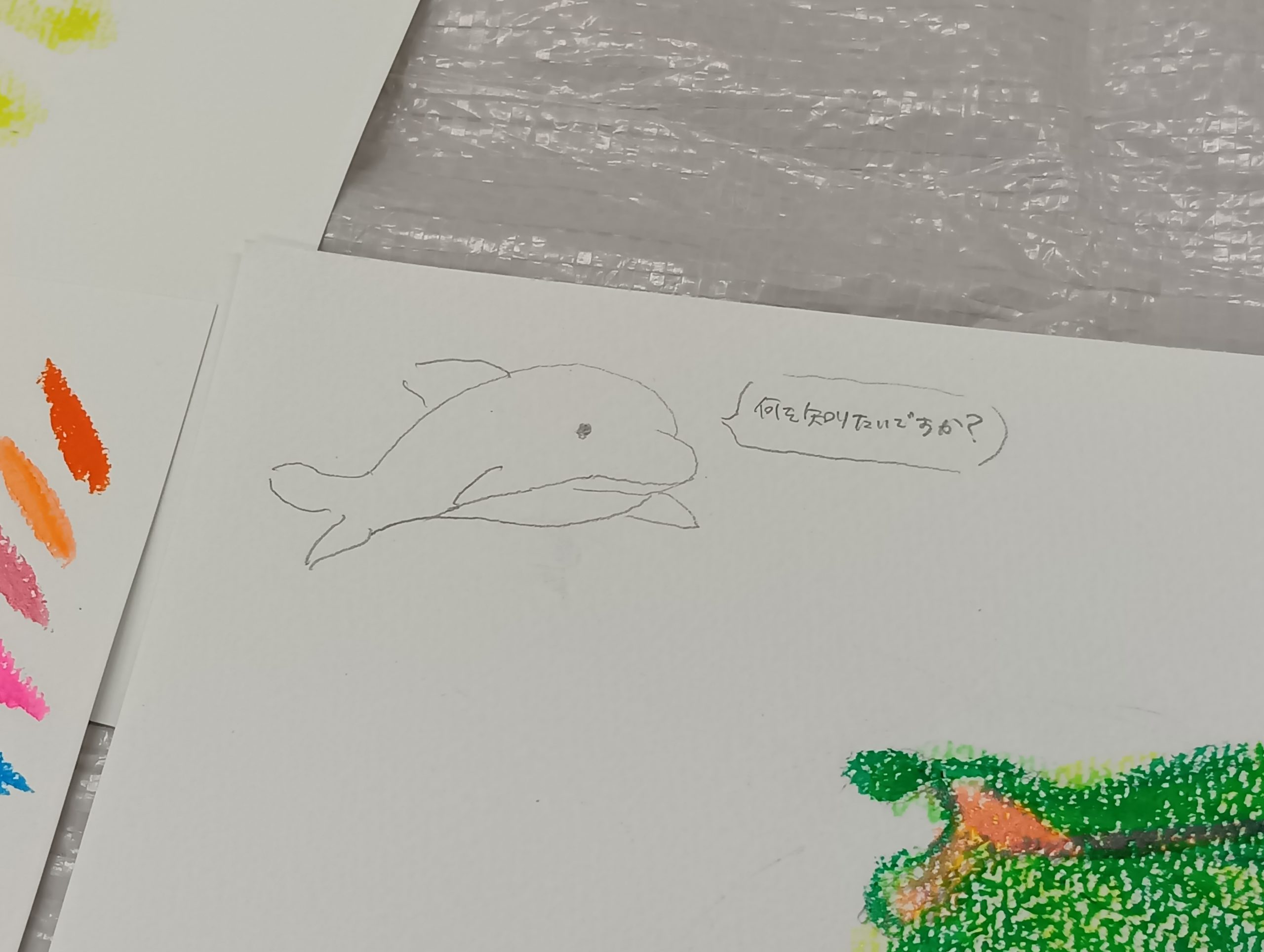 鉛筆で描かれたイルカの絵。ふきだしに「何を知りたいですか？」